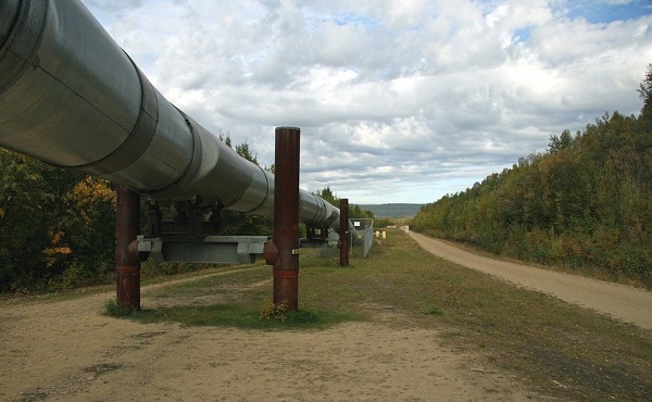 NPL pipeline builds